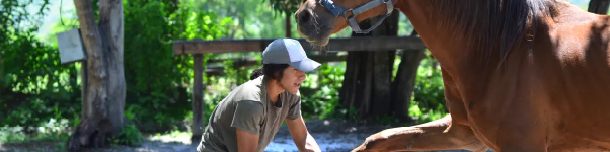 Eleveur de chevaux